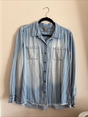 Natural Reflections Blue Striped Denim-Style Button Down Shirt